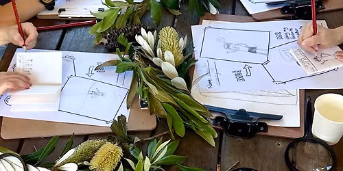 Make Your Own Nature Zine \ud83c\udf3f\u270f\ufe0f