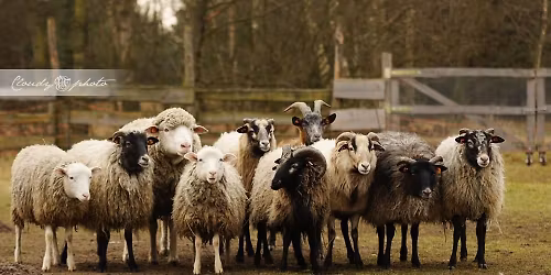 Pastuszkowy ob\u00f3z 2026