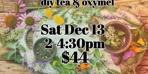 Herbal remedies for cold & flu season