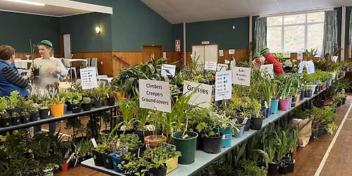 Matangi Garden Club Plant Sale
