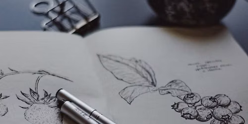 Sketch & Splash: Watercolor Illustration