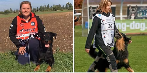 Alternat\u00edv fajt\u00e1k bajnoks\u00e1ga