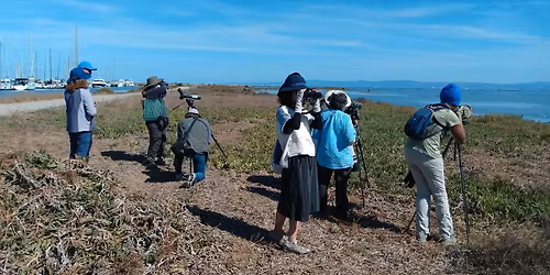 Beginning Bird Photography at Coyote Pt