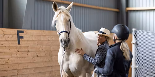 \u201dSamspelt H\u00e4st\u201d p\u00e5 Sk\u00f6nab\u00e4ck Sweden i Sk\u00e5ne! !!!OBS, NYTT DATUM 23-24 MAJ!!!