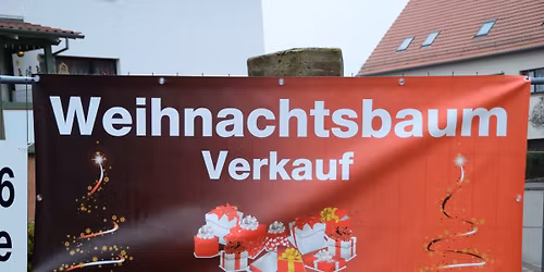 Weihnachtsbaumverkauf am Kirchplatz