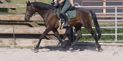 Soustředění Roupov - listopad 2025