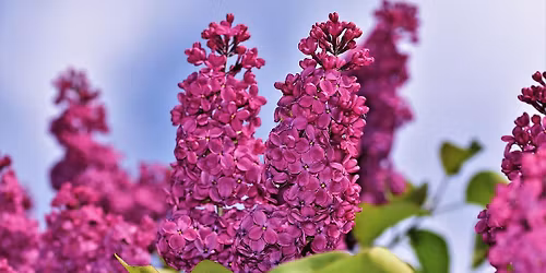 V\u00e5rkonsert med S:t Nicolai kyrkok\u00f6r