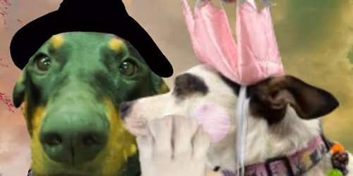 Wicked Part 2 Celebration!