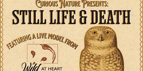 Still Life & Death Featuring Wild at Heart