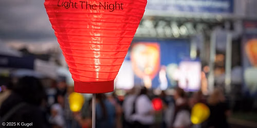 Light The Night Detroit