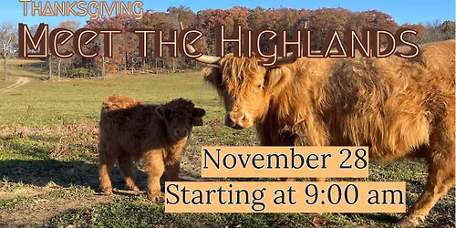 Meet the Highlands
