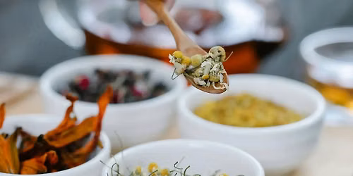 Grow Your Own Herbal Tea Garden