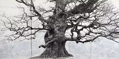 Branching Out: Easter Family Activities