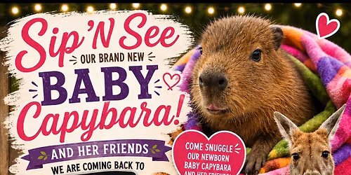 Sip N See Crosswinds Baby Capybara @ Luxe Bar & Bistro