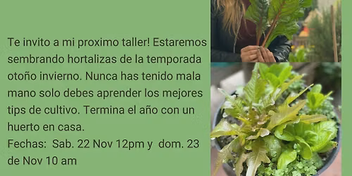 TALLER MI HUERTO ORGANICO EN CASA NOVIEMBRE