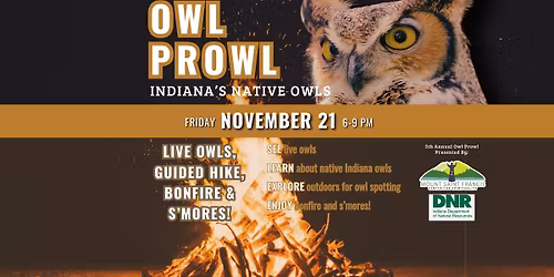 Owl Prowl 
