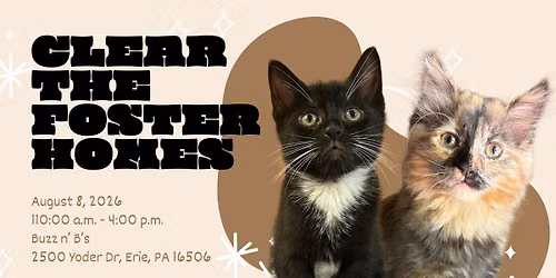 Clear the Foster Homes