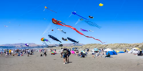 Kite Day 2026