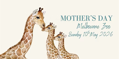 Mother's Day High Tea at Melbourne Zoo