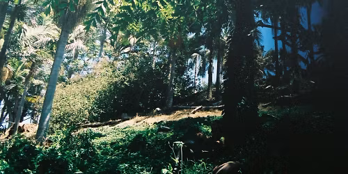 Mitchum Yacoub, Jungle Fire, Mavis Staples, Shirley Nanette in Portland