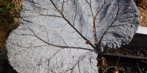 Creating a Hypertufa Leaf Casting