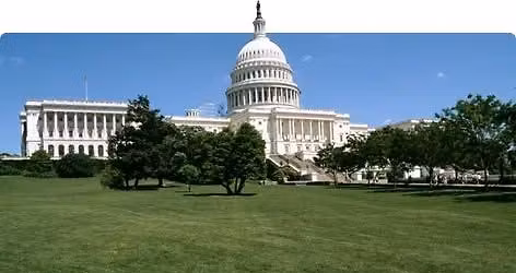 WASHINGTON DC CHERRY BLOSSOM TIME