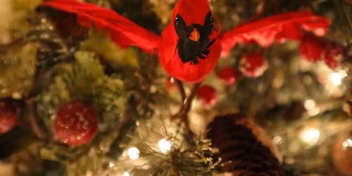 Holiday Arts & Culture Night