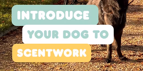 Scent Detection Beginner Workshop