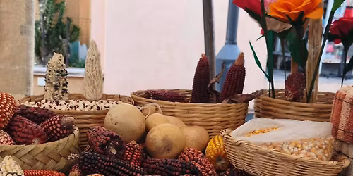 Festival del Ma\u00edz Tijuana 