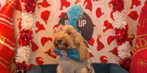 Liverpool - Dashing Doodle Christmas Tour \ud83c\udf84