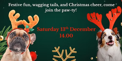 Daisy Dog Academy Christmas Paw-ty!