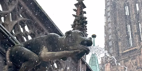 Regards crois\u00e9s sur le gr\u00e8s de la cath\u00e9drale de Strasbourg