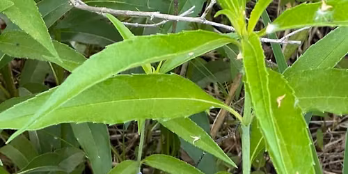 Tour of the Prairie 2026 \u2013 June