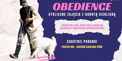 Obedience - cykliczne treningi pos\u0142usze\u0144stwa sportowego w Positive Dog
