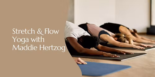 Stretch & Flow Yoga