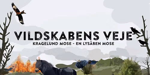 GR\u00d8N BIO x DN: VILDSKABENS VEJE - m\u00f8d Martin Sandager, Kragelund Mose og instrukt\u00f8r Jeppe Svendsen