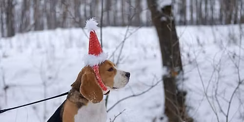 Christmas Dog Walk & Breakfast