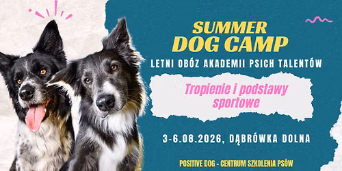 Summer Dog Camp - tropienie i podstawy sportowe w Dog Hub