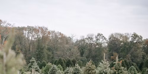 Christmas Tree Farm Photo Fundraiser 