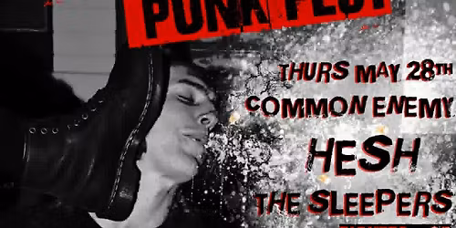 SIDEKICK TWO DAY PUNK FEST