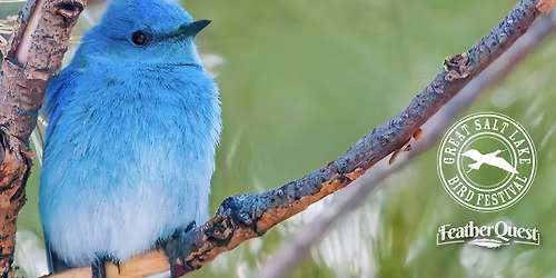 FeatherQuest at Wings & Things Vendor Fair (GSL Bird Festival)