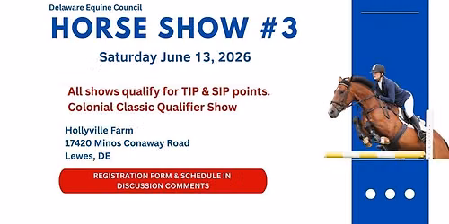 DEC Horse Show #3