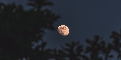 Waning Moon Walk 