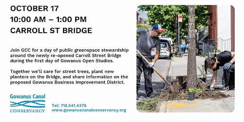Carroll St Volunteer Day
