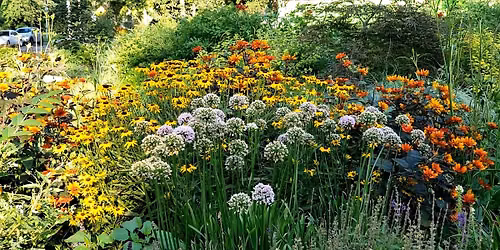 Gardens & The Environment