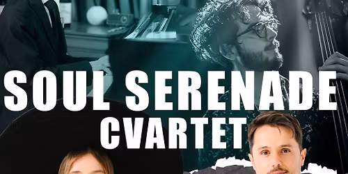 Concert Soul Serenade Cvartet \u2014 Teatrul Na\u021biei