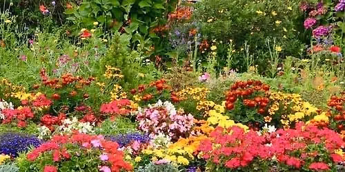 2026 Garden Competition Judging Day 