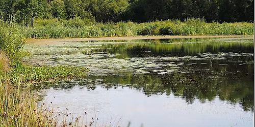 Nature Walk at Mere Sands Wood