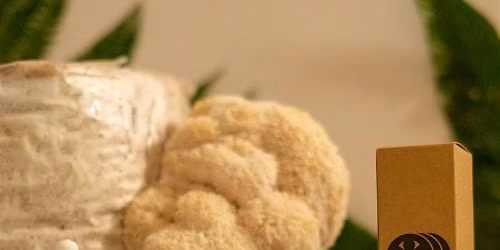Beginner Lions Mane Tincture making workshop