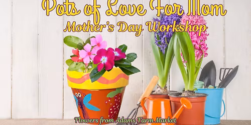 Pots of Love for Mom \ud83d\udc90\ud83e\udeb4